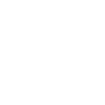 icon-1-alt