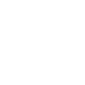 icon-2-alt